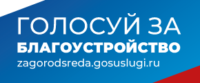 Голосуй за благоустройство